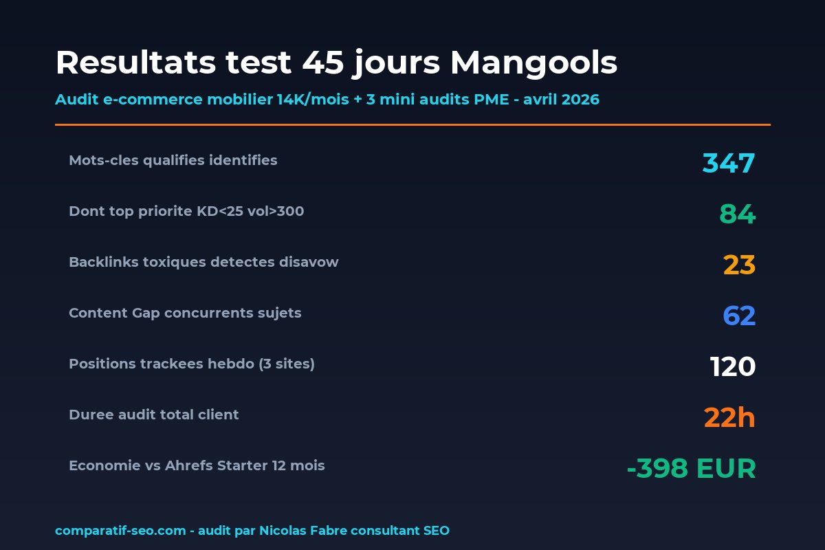 Test 45 jours Mangools metriques audit client